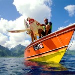 The Ultime Wave Tahiti 3D - Szenenbild 03