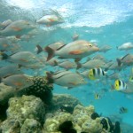 The Ultime Wave Tahiti 3D - Szenenbild 23