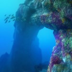 Ein sattes Blau, soweit das Fischauge reicht. Dazu die leuchtende Pracht von Anemonen - welcher Fisch, respektive Kinobesucher, möchte da nicht sofort eintauchen?
