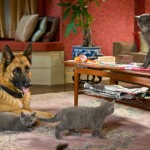 DIGGS und CATHERINE