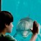 Prothesen-Delfin schwimmt der Konkurrenz davon- die US-Kinocharts der Woche