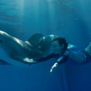 Dolphin Tale